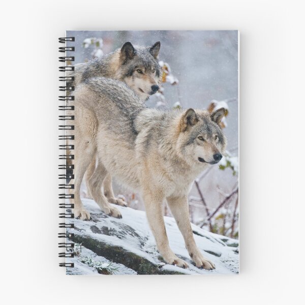 Item preview, Gray Wolves designed and sold by Michael Cummings.