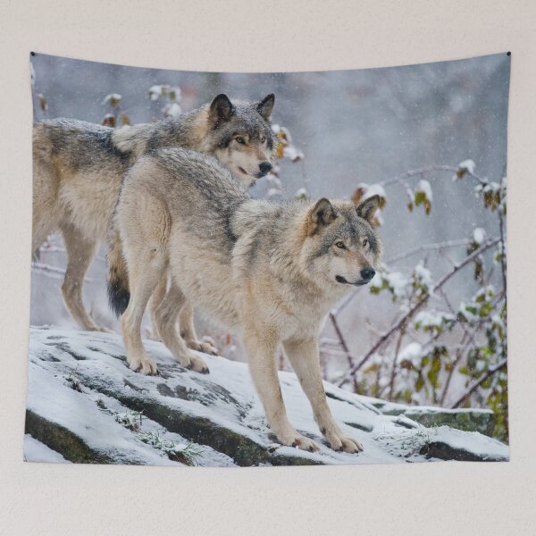 Item preview, Gray Wolves designed and sold by Michael Cummings.