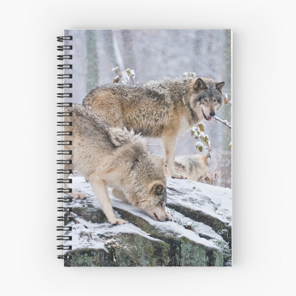 Item preview, Gray Wolves designed and sold by Michael Cummings.