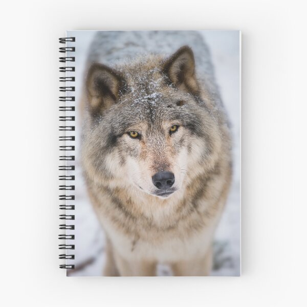Item preview, Gray Wolf designed and sold by Michael Cummings.