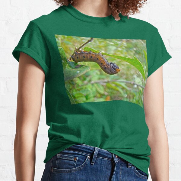 Snowberry Clearwing Hawk Moth Caterpillar - Hemaris diffinis Classic T-Shirt
