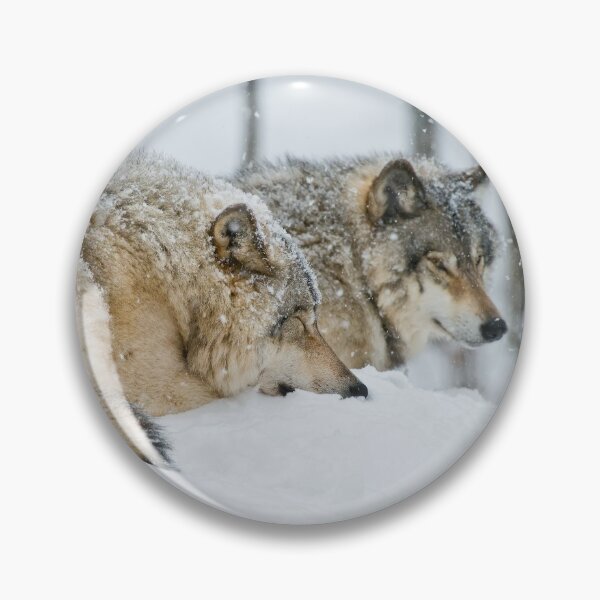 Item preview, Gray Wolves designed and sold by Michael Cummings.