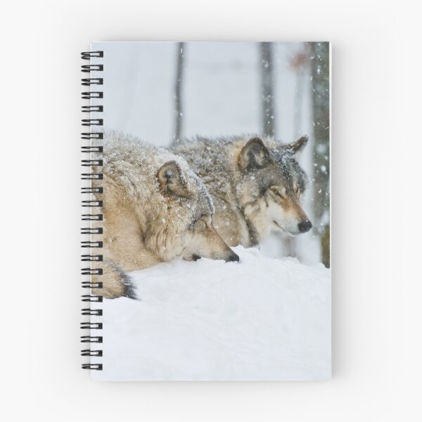 Item preview, Gray Wolves designed and sold by Michael Cummings.