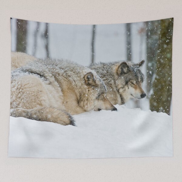 Item preview, Gray Wolves designed and sold by Michael Cummings.