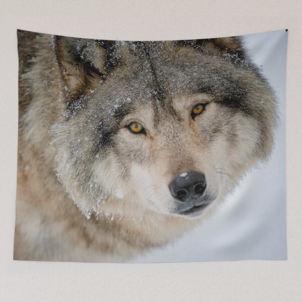 Item preview, Timber Wolf designed and sold by Michael Cummings.