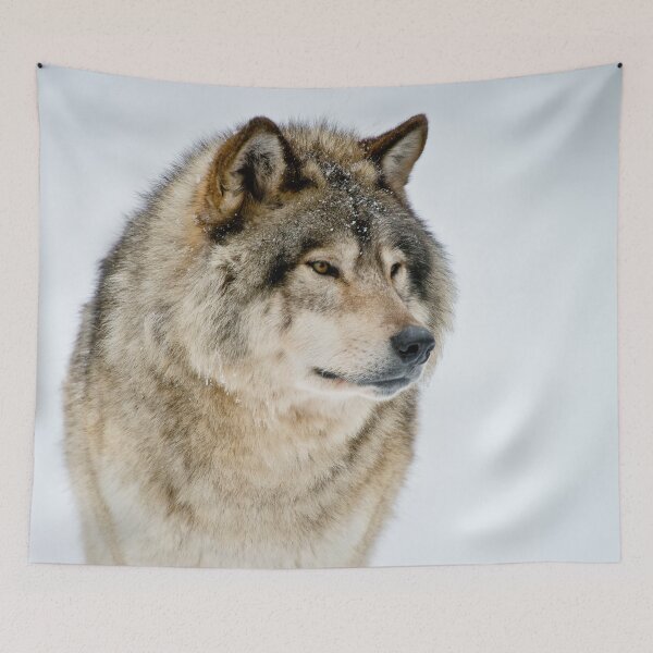 Item preview, Gray Wolf designed and sold by Michael Cummings.