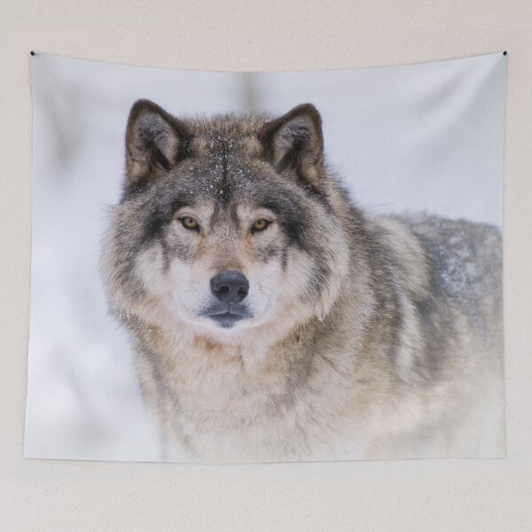 Item preview, Timber Wolf designed and sold by Michael Cummings.