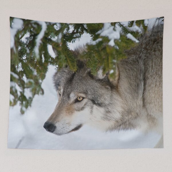 Item preview, Timber Wolf designed and sold by Michael Cummings.