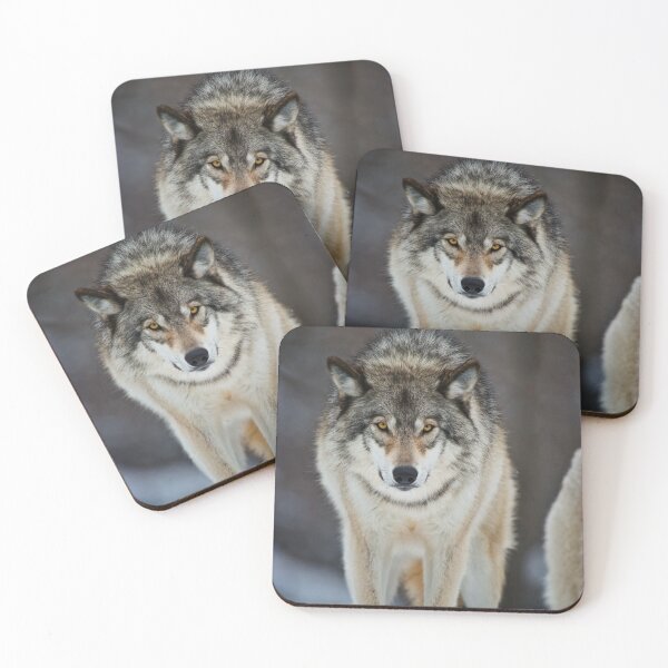 Item preview, Gray Wolf designed and sold by Michael Cummings.