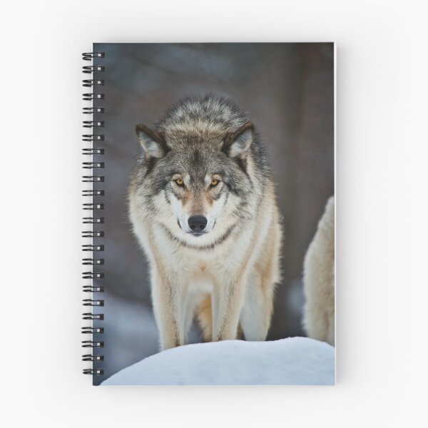 Item preview, Gray Wolf designed and sold by Michael Cummings.
