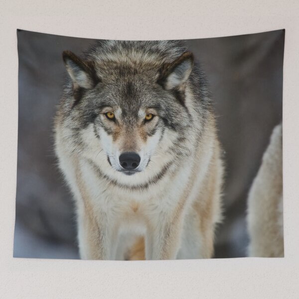 Artikelvorschau, Grauer Wolf entworfen und verkauft von Michael Cummings.