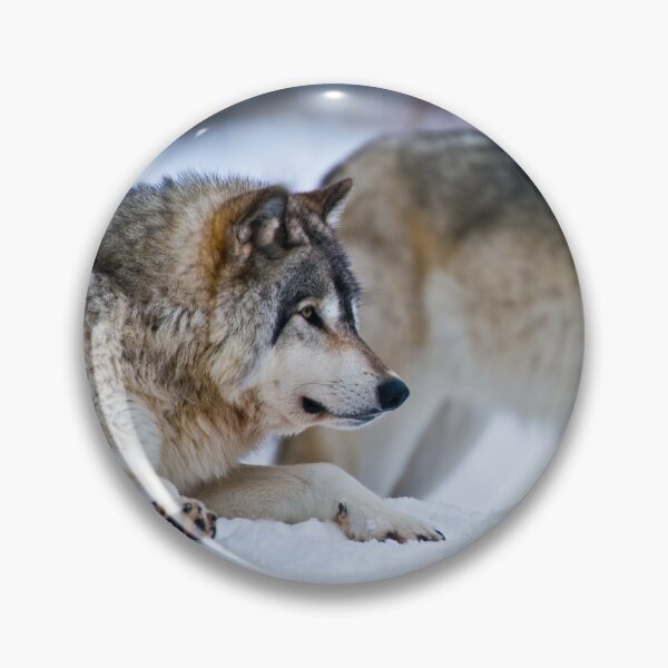 Item preview, Grey Wolves designed and sold by Michael Cummings.