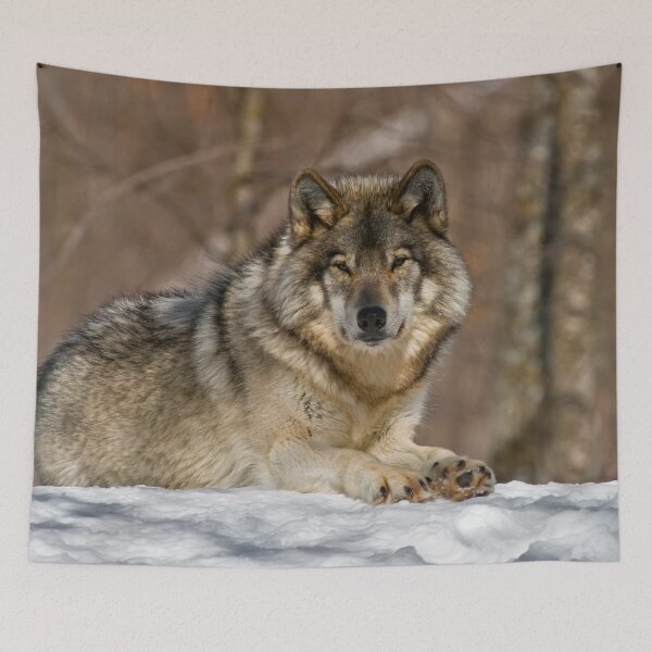 Item preview, Gray Wolf designed and sold by Michael Cummings.