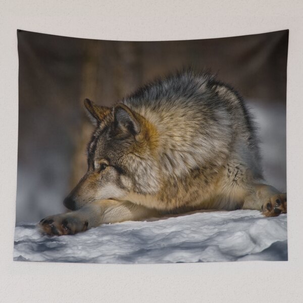 Item preview, Gray Wolf designed and sold by Michael Cummings.