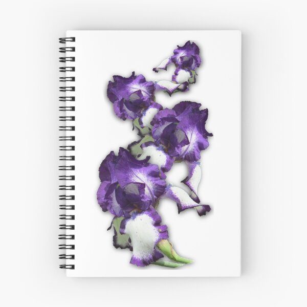 Item preview, Purple and White Iris designed and sold by KaycysCreations.