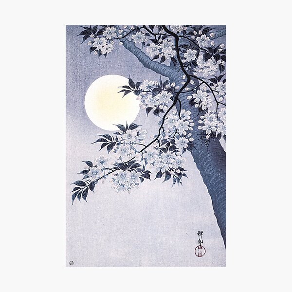 Blossoming Cherry on a Moonlit Night by Ohara Koson Photographic Print
