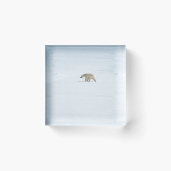 Item preview, Polar bear in the ice desert of Svalbard designed and sold by Ingo Gerlach.