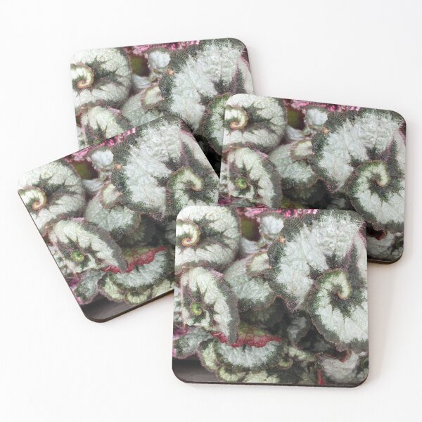 Item preview, Begonia escargot designed and sold by pinkal.