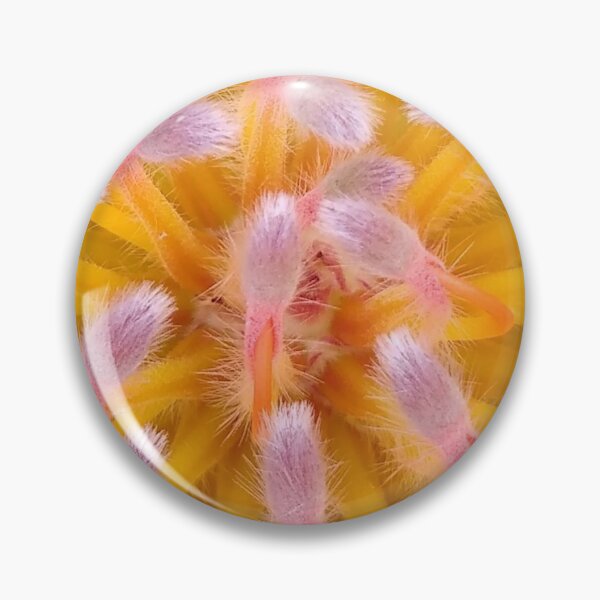 Item preview, Pink and Orange Pincushion Proteaceae designed and sold by HRSCreates.