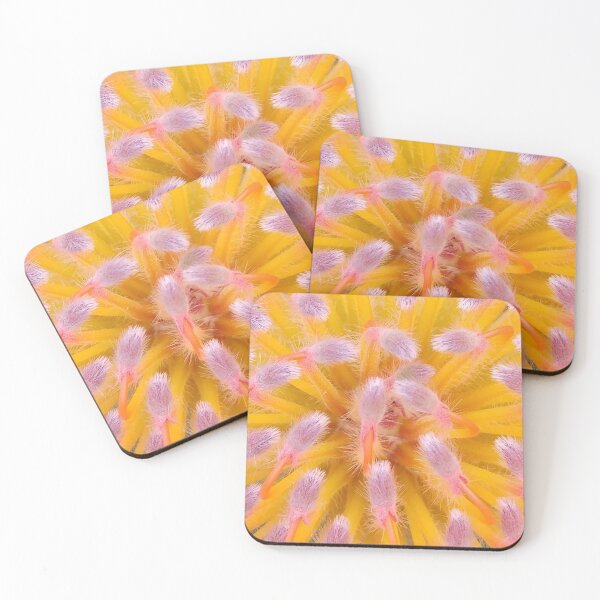 Item preview, Pink and Orange Pincushion Proteaceae designed and sold by HRSCreates.