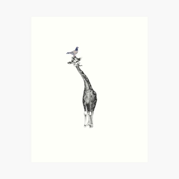 Pigeon and Giraffe Art Print