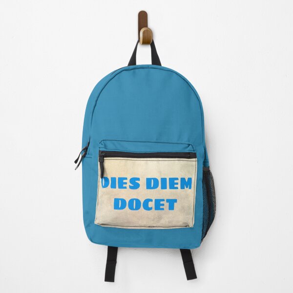 Item preview, One day teaches the other, this diem docet, Latin quotation designed and sold by Pelikancrazy.