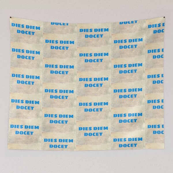 Item preview, One day teaches the other, this diem docet, Latin quotation designed and sold by Pelikancrazy.