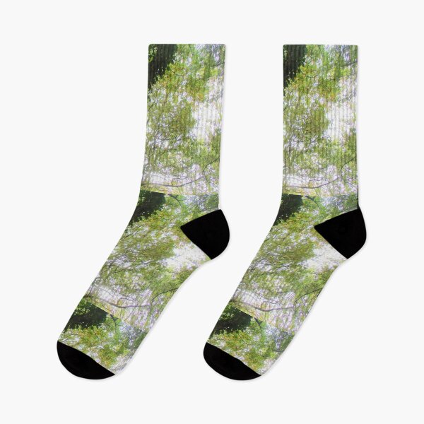 Item preview, Sunshine Through The Treetops designed and sold by realdorypanda.