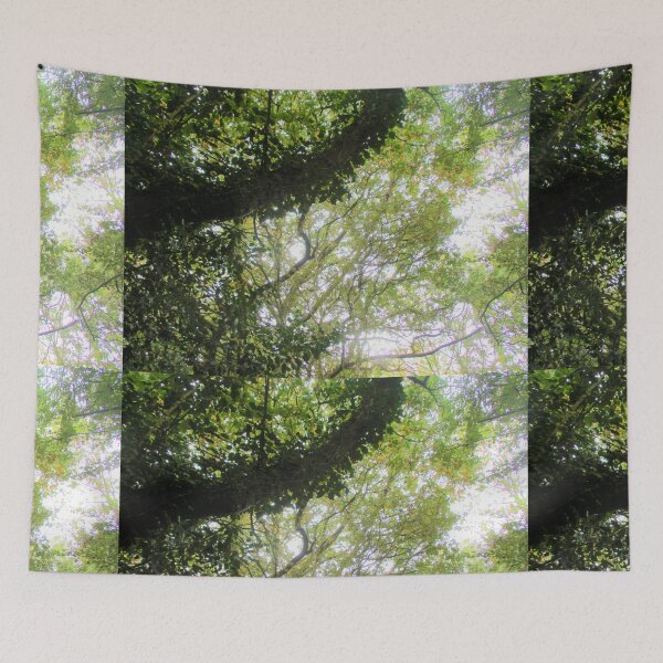 Item preview, Sunshine Through The Treetops designed and sold by realdorypanda.