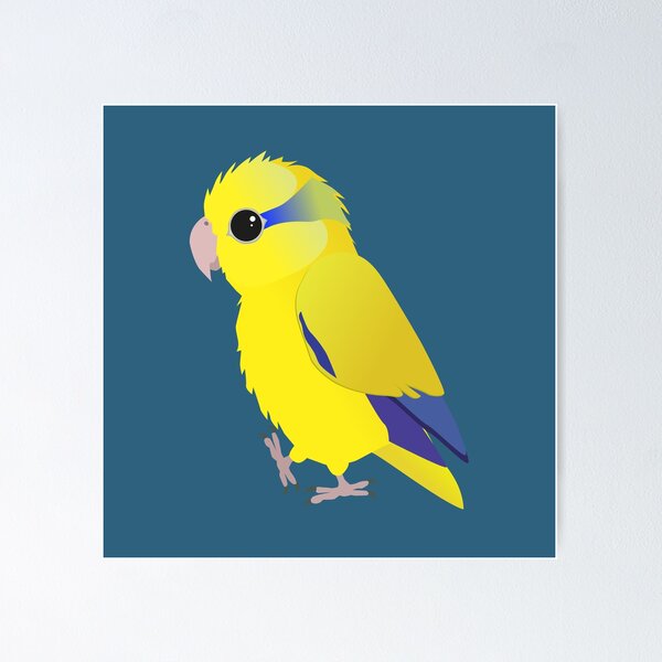 Cute yellow pacific parrotlet