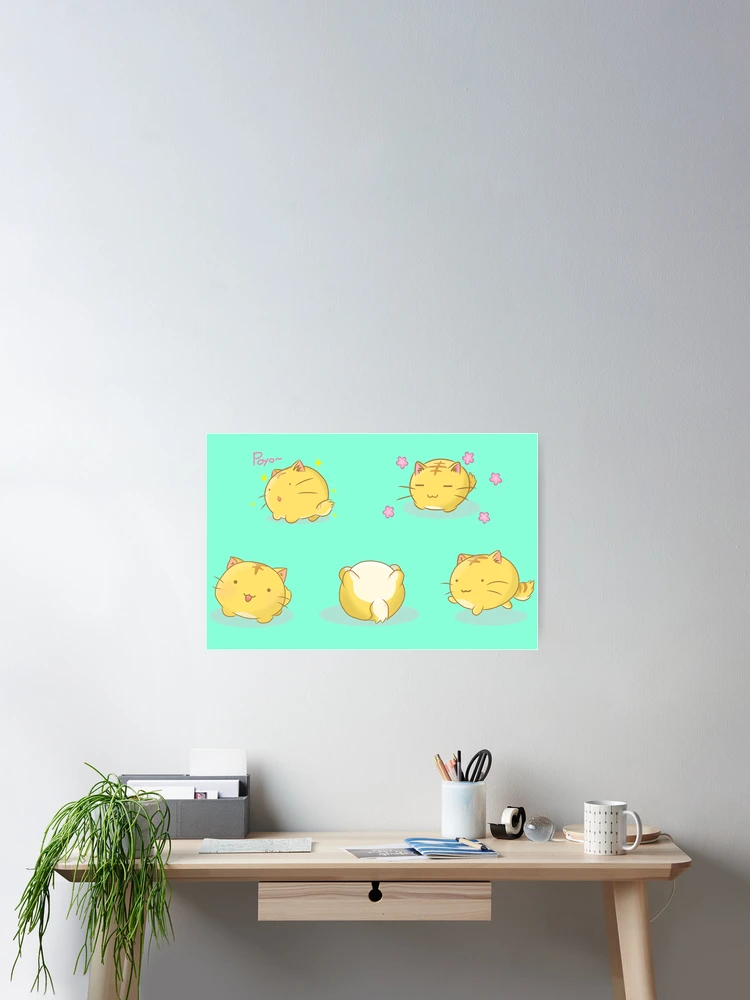 Poyo Poyo collection 