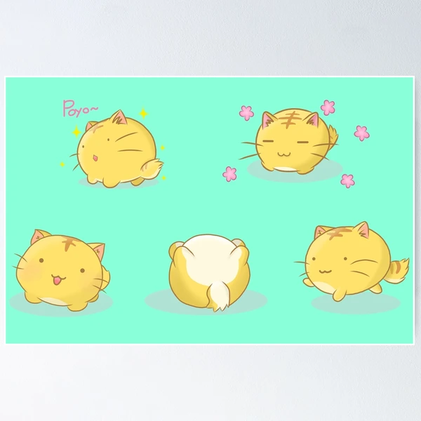 Poyo Poyo collection 