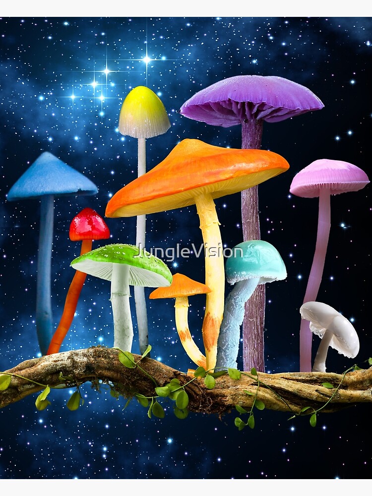 Trippy Mushroom On afari, aesthetic mushrooms HD wallpaper | Pxfuel