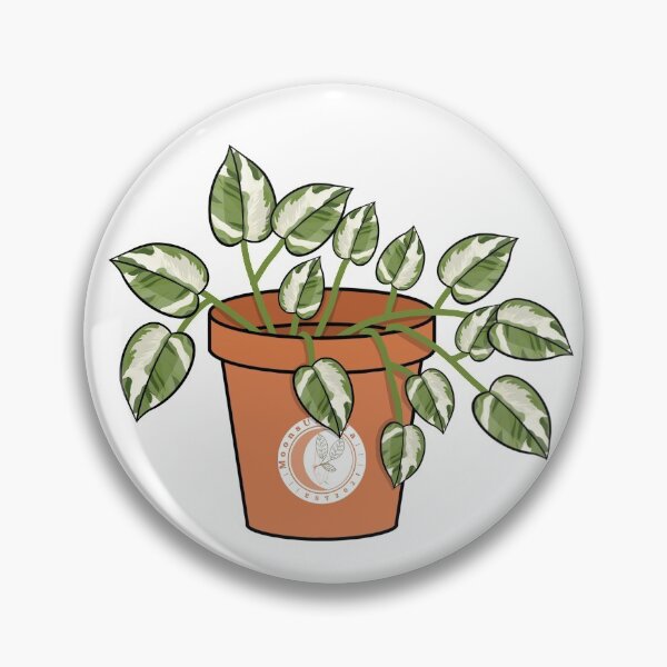 Item preview, N’Joy Pothos Pot designed and sold by MoonsUtopia.