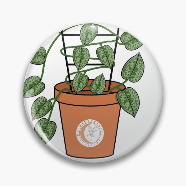 Item preview, Satin Pothos Pot designed and sold by MoonsUtopia.