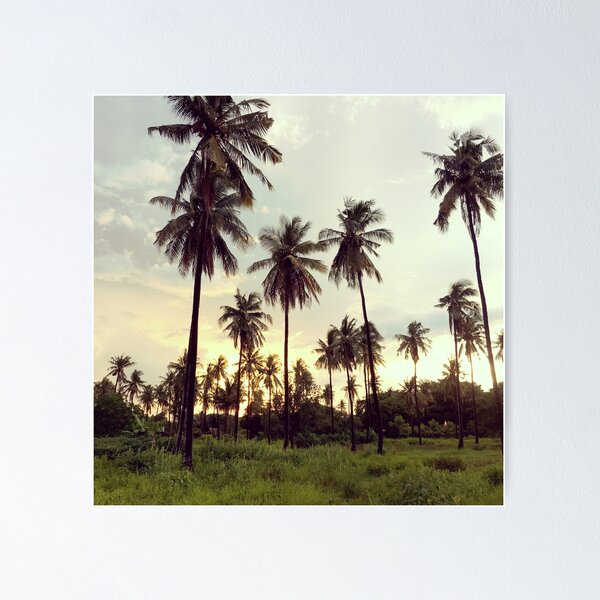 Item preview, Jungle Palm Trees designed and sold by BreslauBadger.