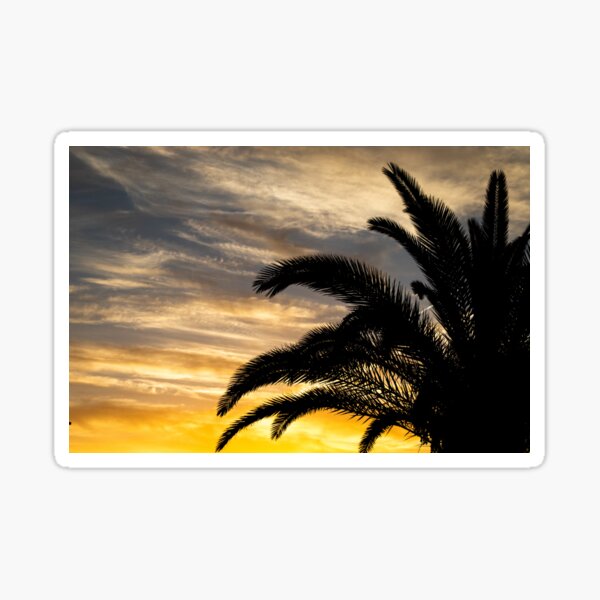 Beautiful Sunset w. Palm Tree Sticker