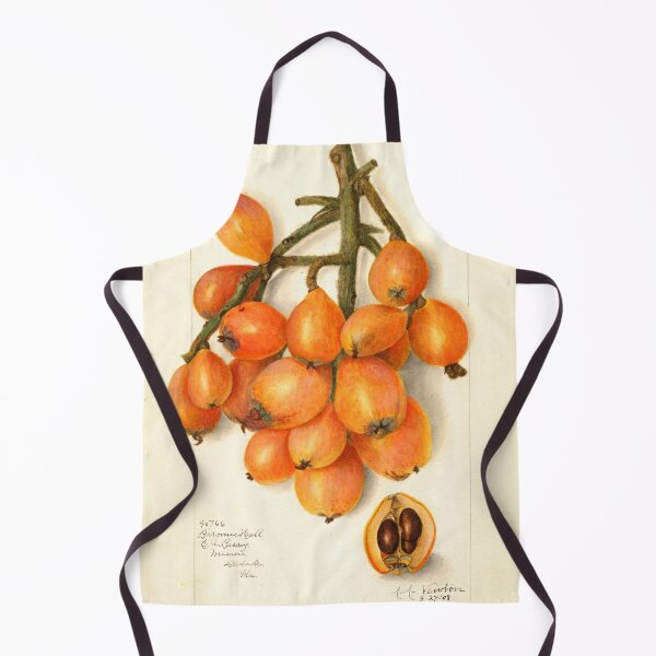 Item preview, Loquat Fruit Vintage Botanical Print designed and sold by Natural History Prints.