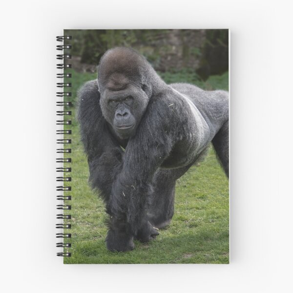 Item preview, Gorilla designed and sold by alan tunnicliffe.