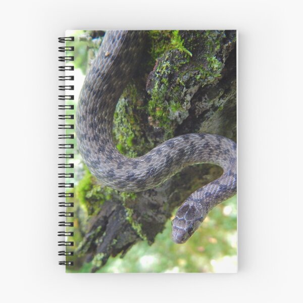 Item preview, Brown Snake designed and sold by Ashley Gagnon.
