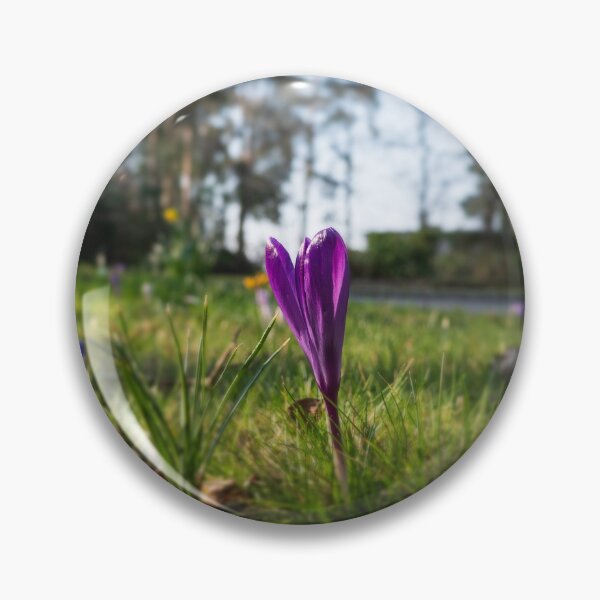 Item preview, Purple flowering crocus. Time to spring designed and sold by santoshputhran.