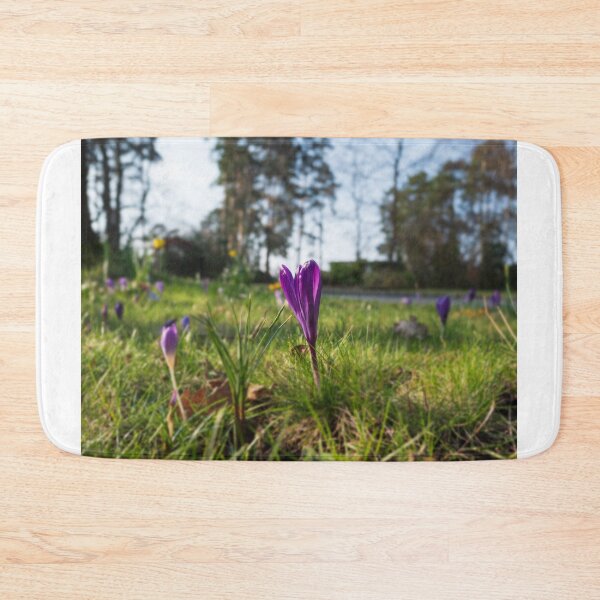 Item preview, Purple flowering crocus. Time to spring designed and sold by santoshputhran.