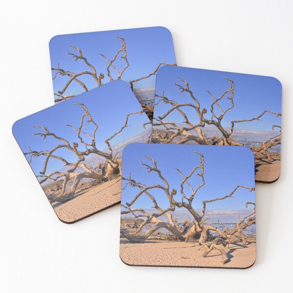 Item preview, Driftwood Beach Isla Jekyll Georgia designed and sold by LisaWootenPhoto.