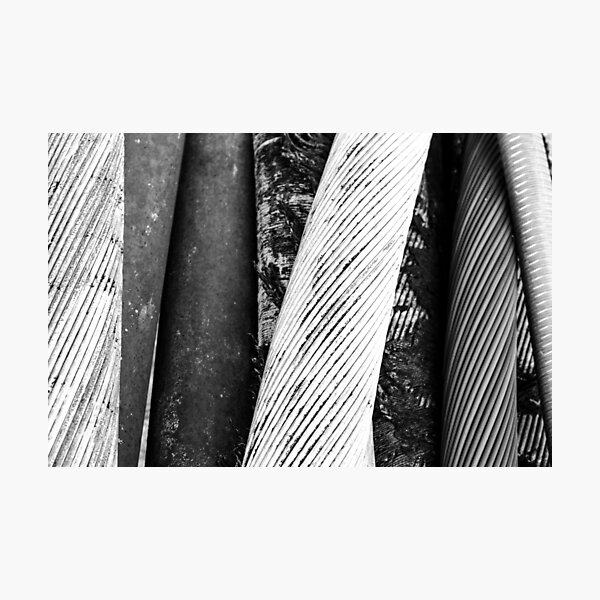 Tethered Photographic Print