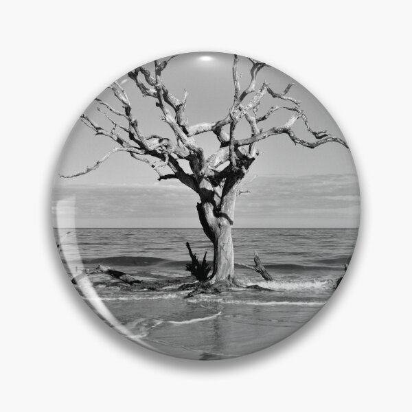 Item preview, Driftwood Reflection Jekyll Island Georgia Blanco y negro designed and sold by LisaWootenPhoto.