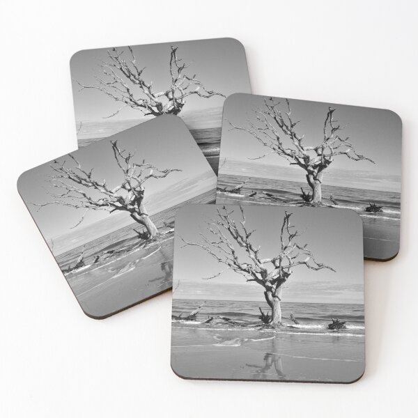 Item preview, Driftwood Reflection Jekyll Island Georgia Blanco y negro designed and sold by LisaWootenPhoto.