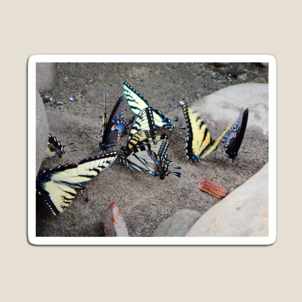Item preview, Butterfly Congregation designed and sold by Ashley Gagnon.
