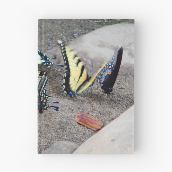 Item preview, Butterfly Congregation designed and sold by Ashley Gagnon.