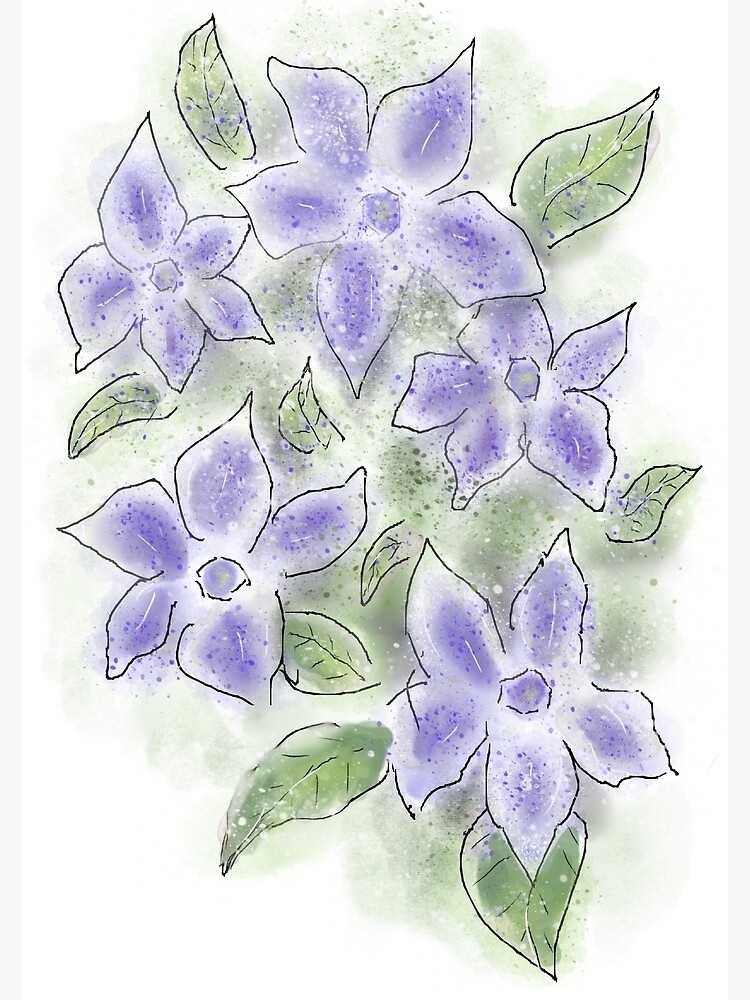Cute Blue Periwinkle Flowers by ClareWalkerArt