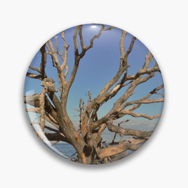Item preview, Playa de madera flotante de Jekyll Island Georgia designed and sold by LisaWootenPhoto.